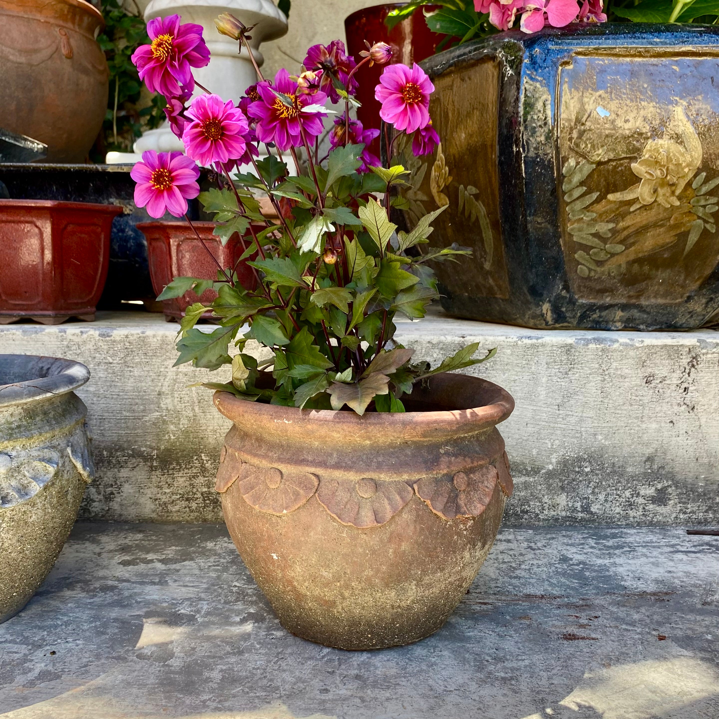 Small Terracotta Garden Pot