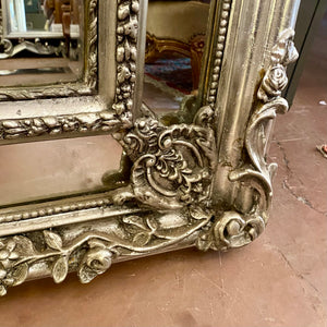 French Style Mirror with Detailed Carvings