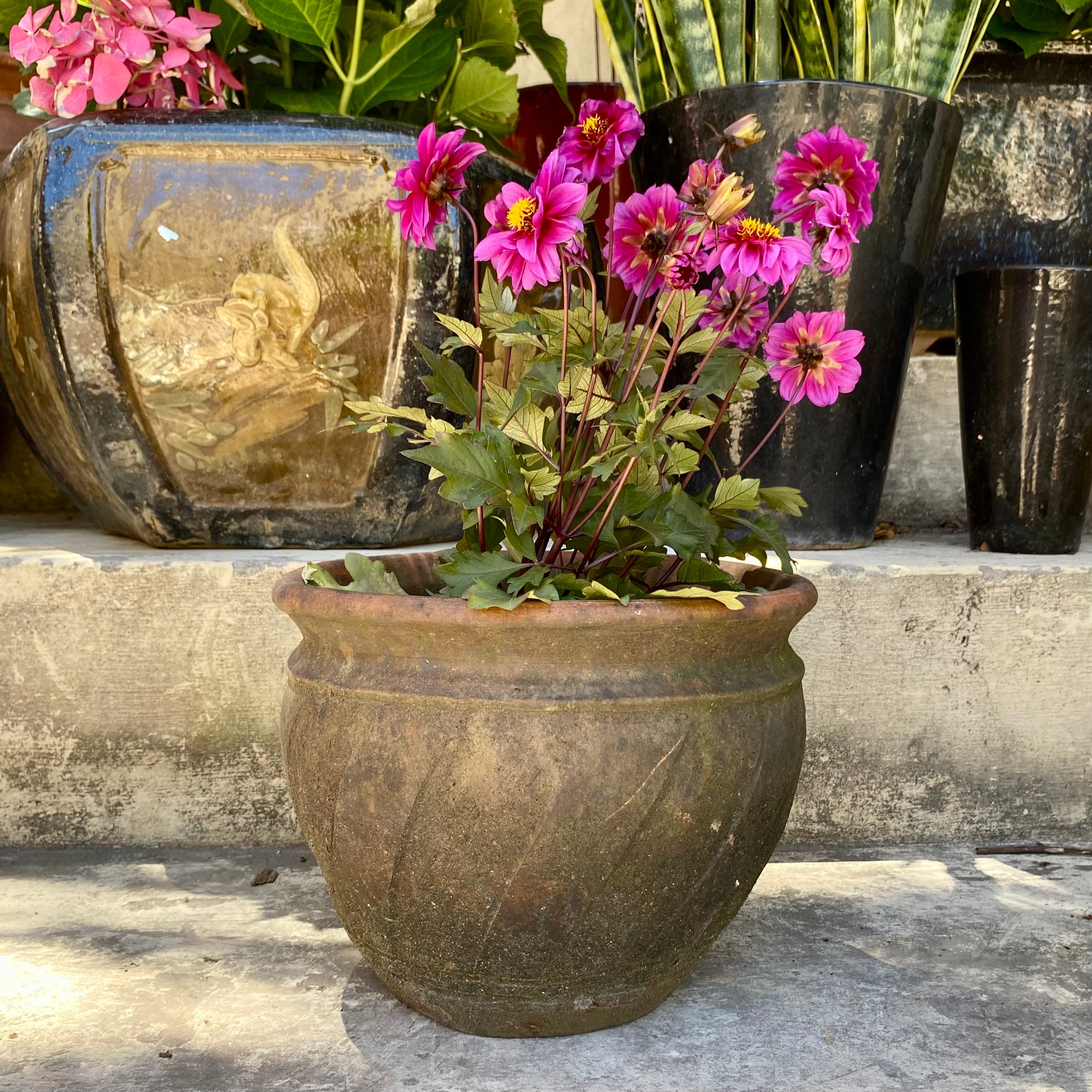 Small Aged Terracotta pot