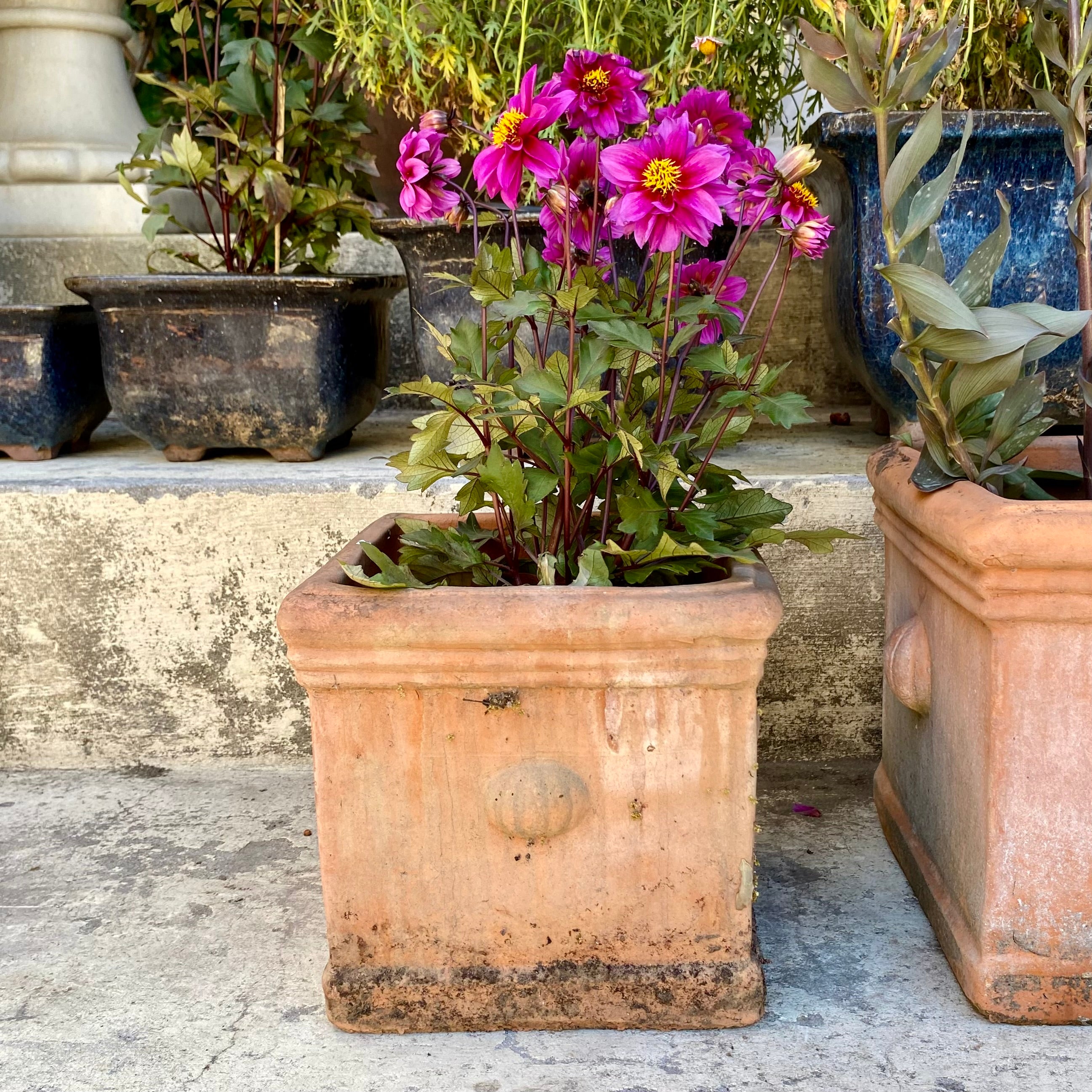 Aged Italian Style Square Terracotta Planters