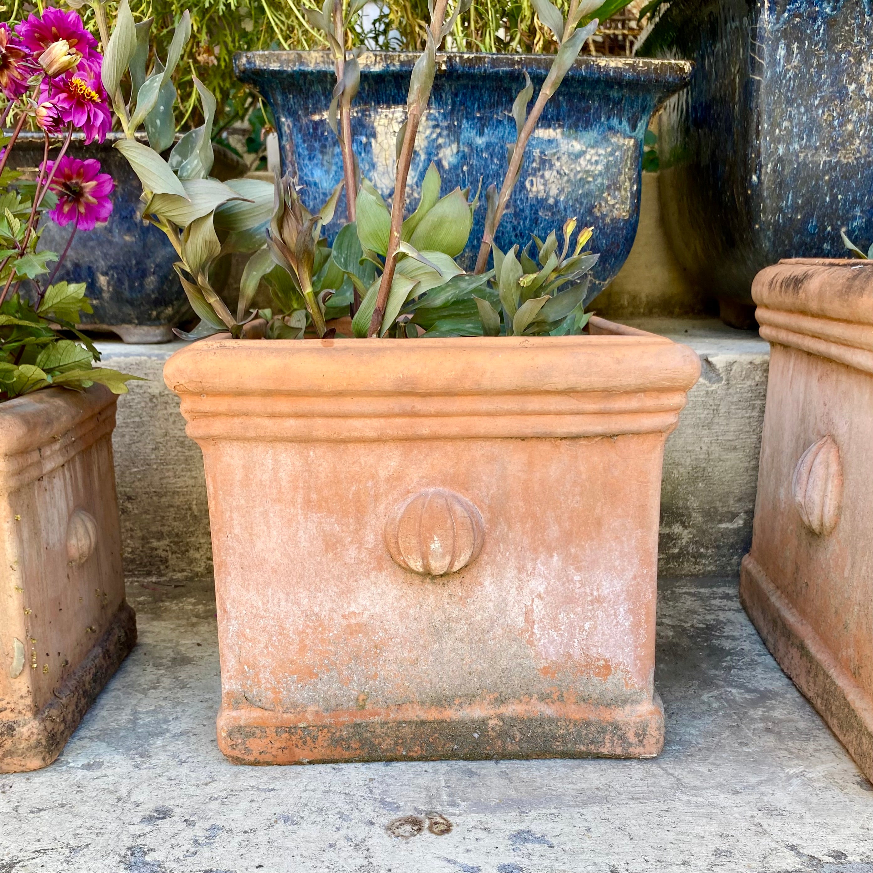 Aged Italian Style Square Terracotta Planters - SOLD