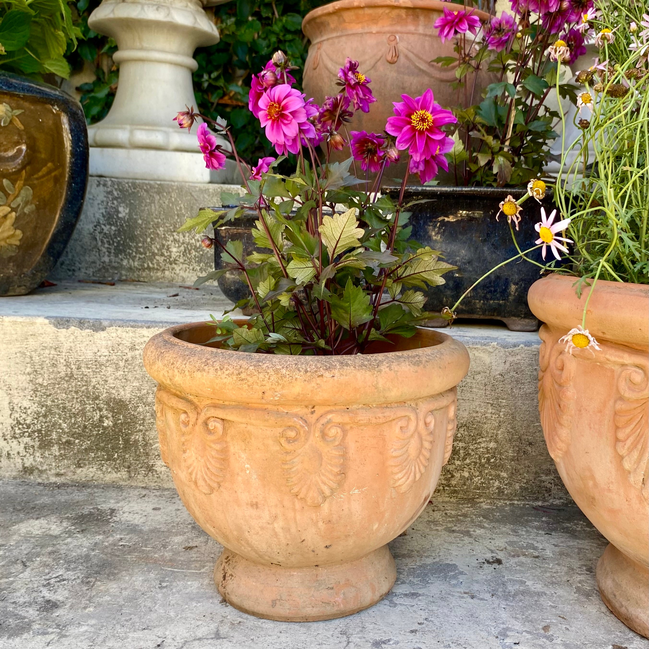 Beautiful Terracotta Pot - SOLD