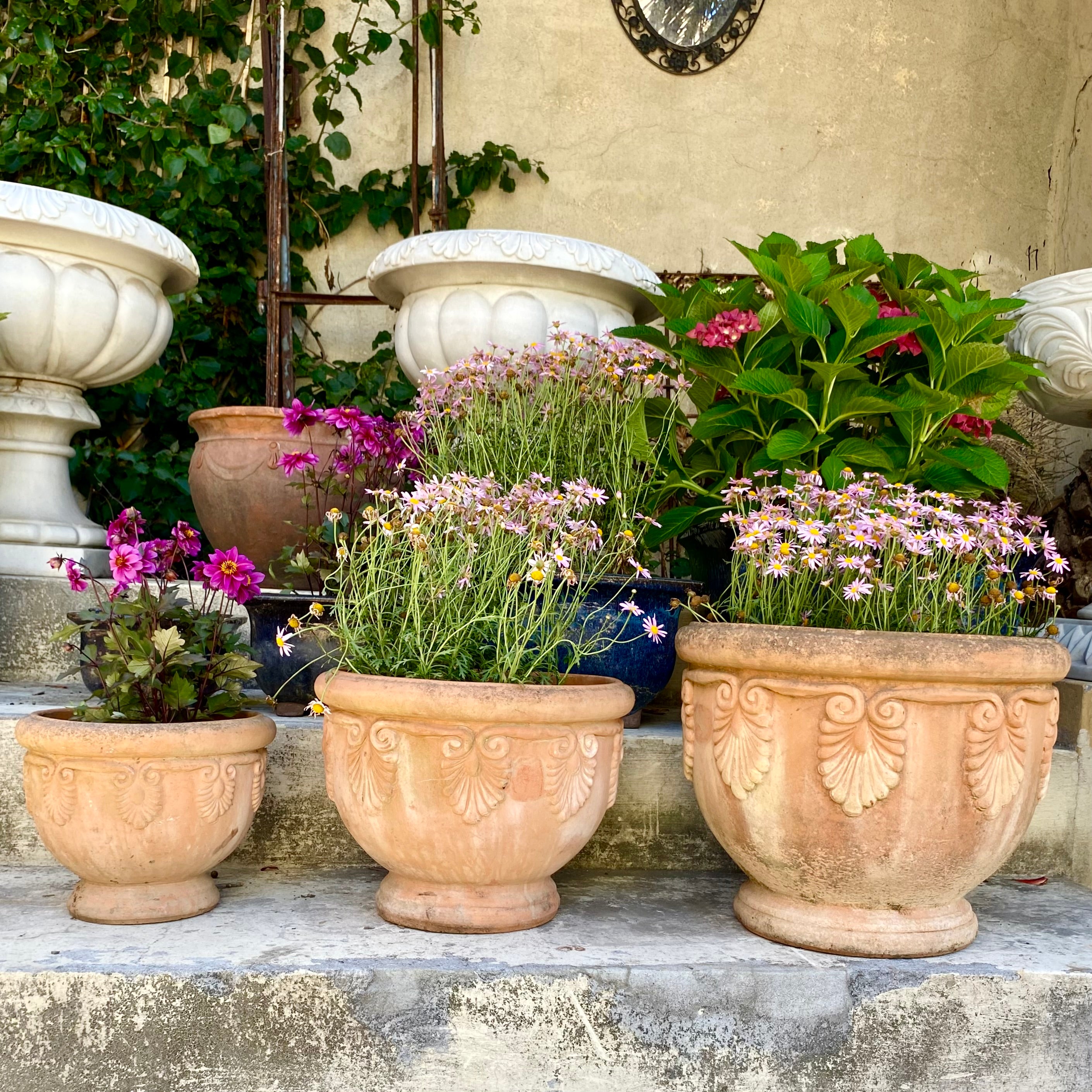 Beautiful Terracotta Pot - SOLD