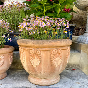 Beautiful Terracotta Pot