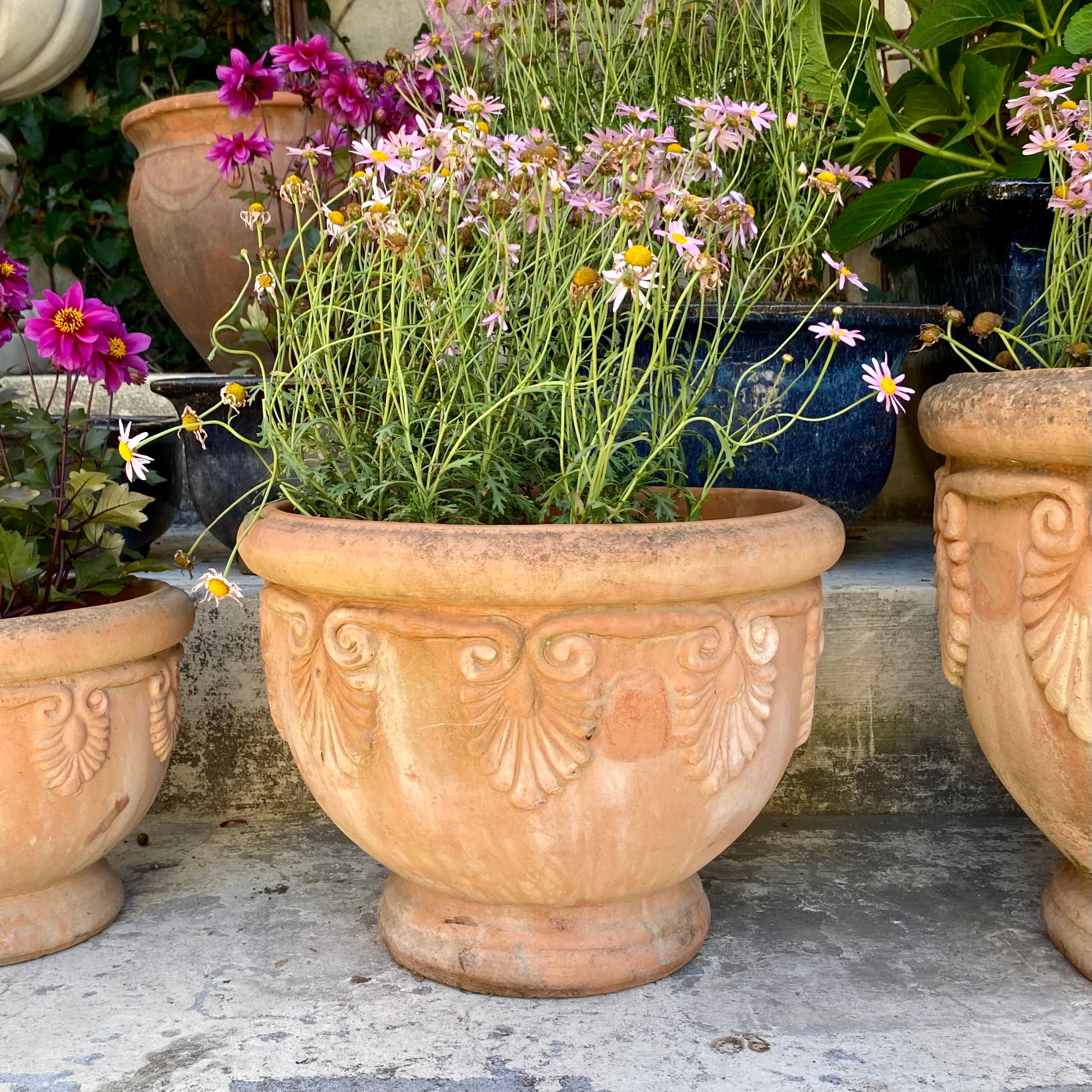 Beautiful Terracotta Pot