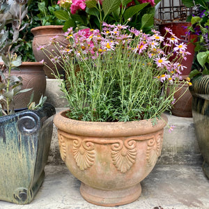 Beautiful Terracotta Pot - SOLD