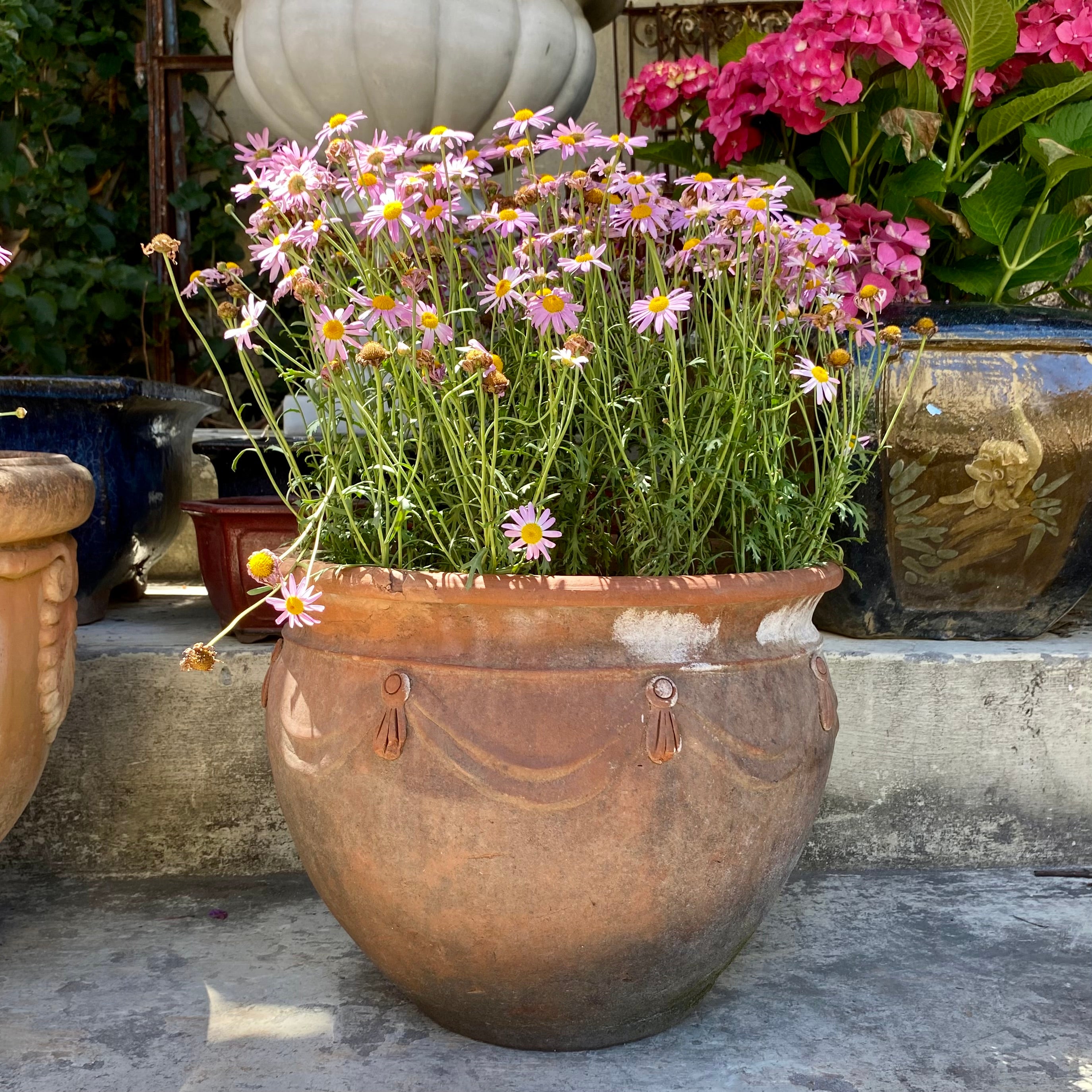 Aged Terracotta Pot with Ribbon Design