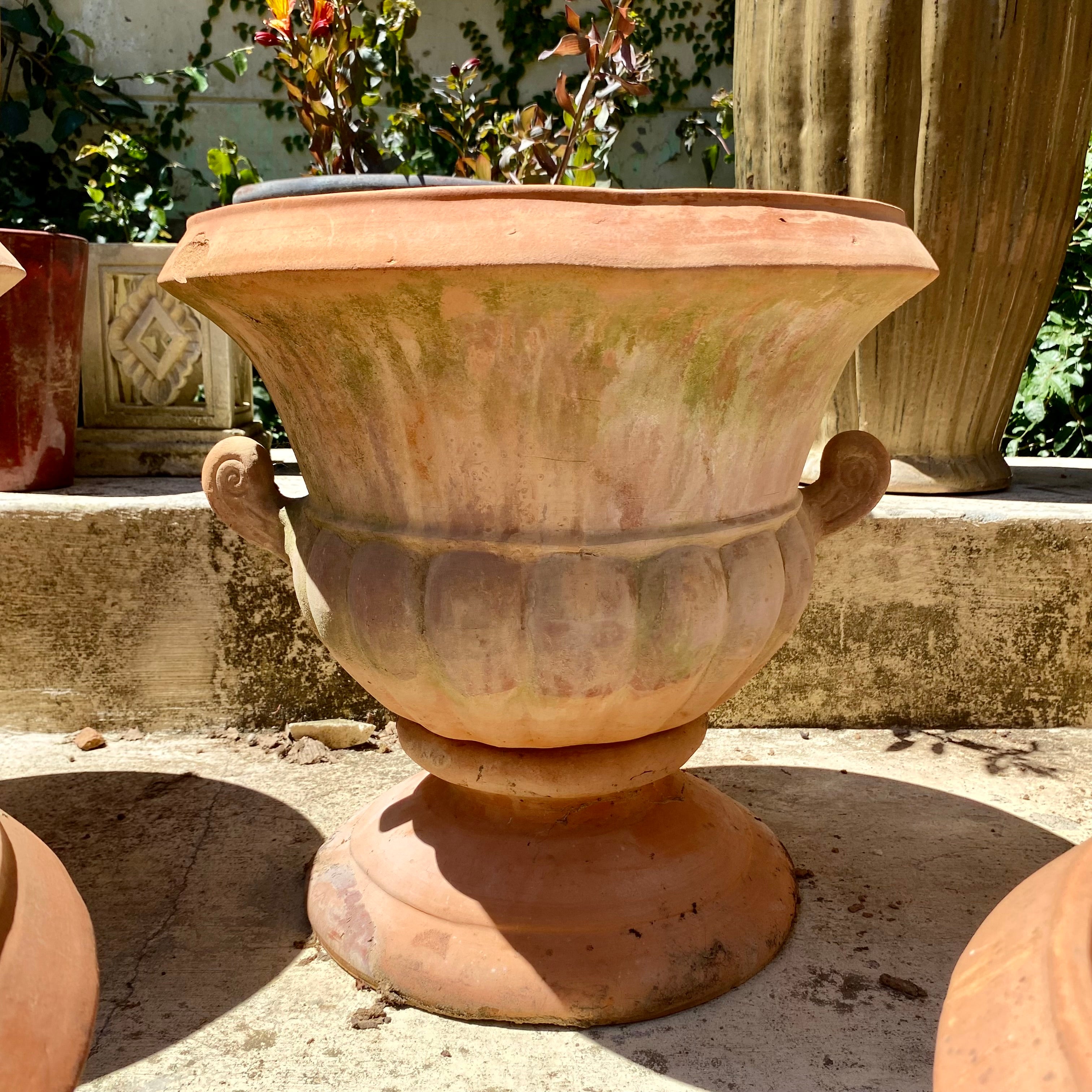 Rustic Terracotta Planter on Stand