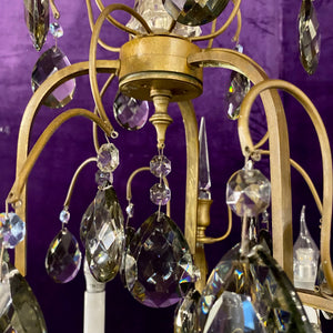 Exceptionally Rare and Special Antique Cage Chandelier