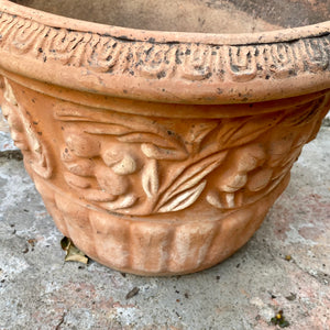 Garden Terracotta Pots
