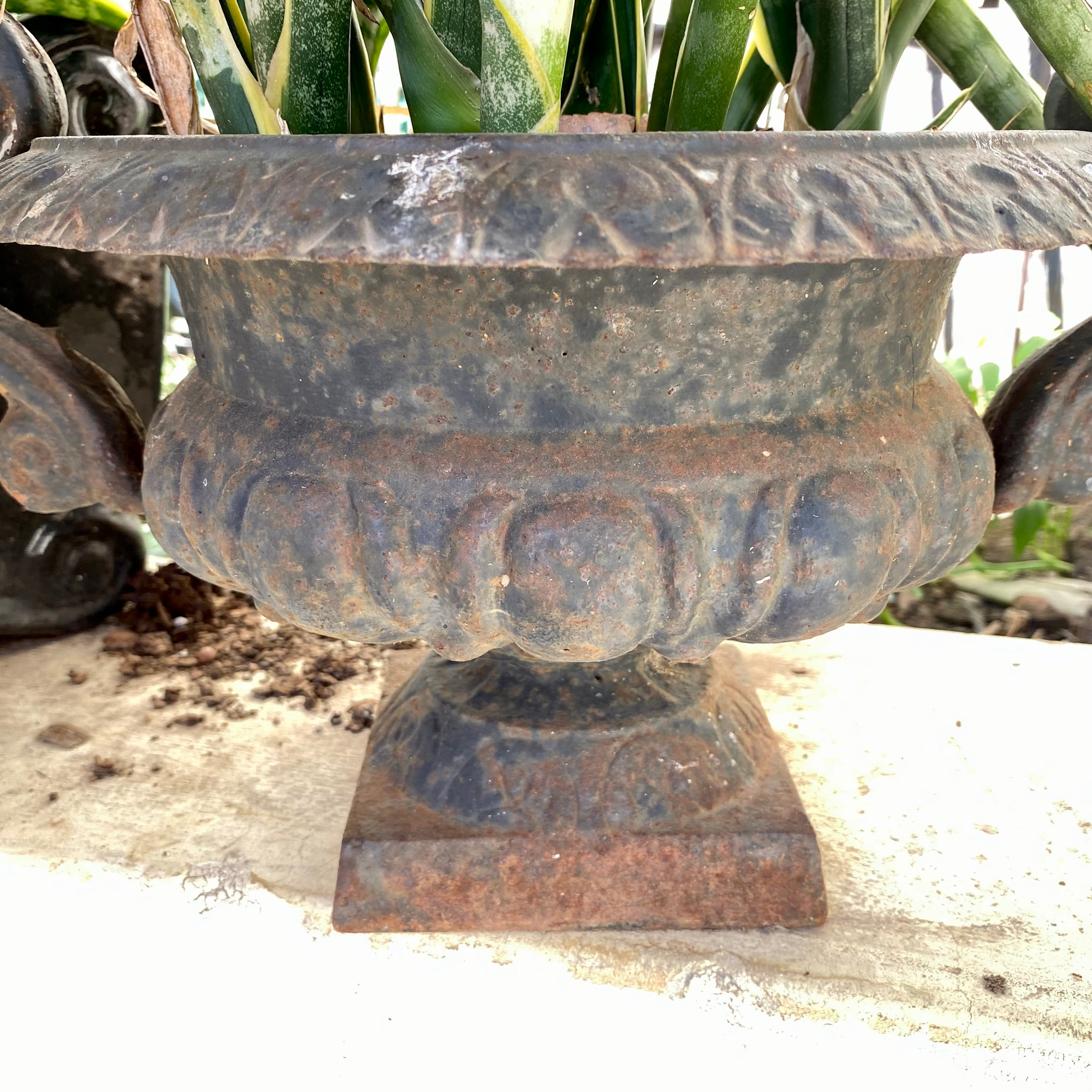 French Style Cast Iron Urn - SOLD