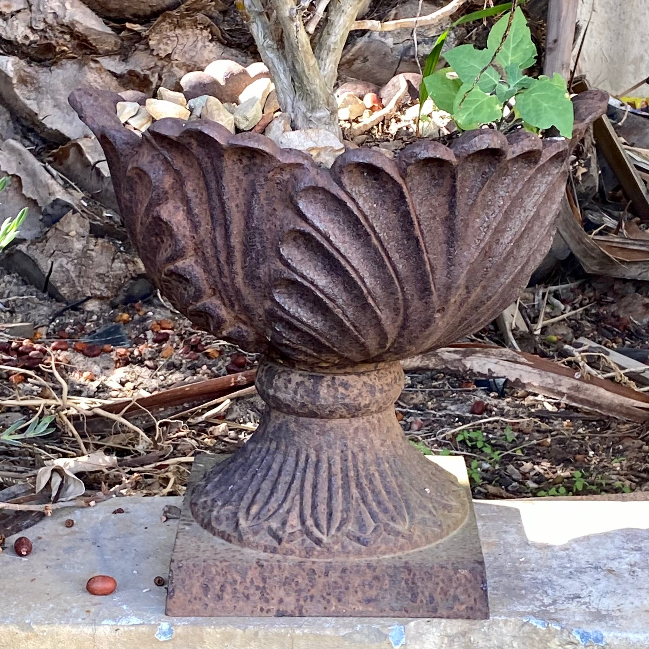 Rustic Cast Iron Cabbage Urn